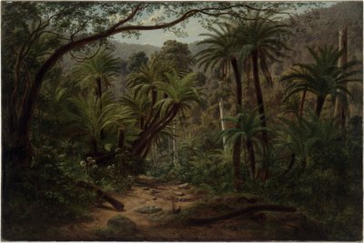 Ferntree Gully in the Dandenong Ranges by Eugene von Guérard